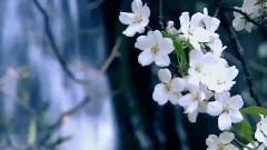送别