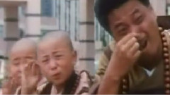 阳光,棕榈,海滩