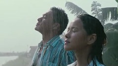 紫微的盛夏