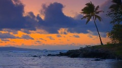 MAUI BEACH Classical