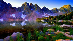 Beautiful World