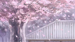 钢琴曲的洗礼
