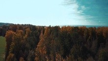Metsatöll - Külmking
