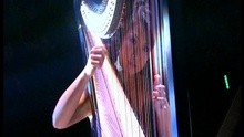  - Fei Hua