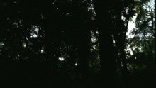 - Fango