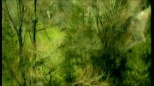  - Mono Gia Sena
