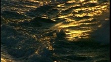  - De Frente Al Mar