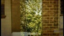  - Chain Hang Low