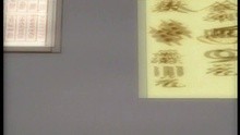  - Ji He San Jiao