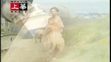 Qing Wang