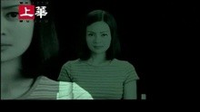 Zhen Xin