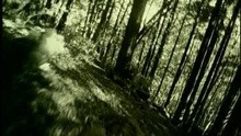  - Someone's In The Wolf