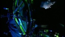  - A Forest