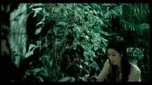  - Bu Shui
