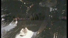  - Pictures Of You