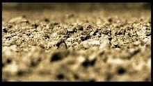  - Destinazione Paradiso