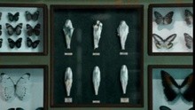  - Histoire Naturelle