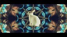  - Don Diablo feat. Angela Hunte《Lights Out Hit》