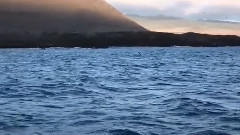 Cast Away 加拉帕戈斯群岛