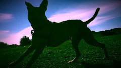 Moxie at Pt.Isabel