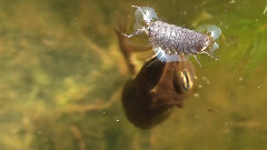 Macro Test Part 2