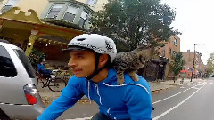 带小猫一起骑行