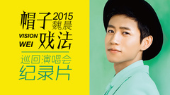 2015魏晨演唱会 花絮纪录片