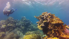 Australia Backpacking 2014