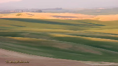 Beauty Of Palouse WA - 2 Colfax