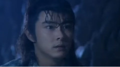 真真假假