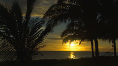 夏威夷 Window Hawaii