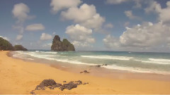 Surftrip