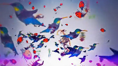 Rainfall My Panda Shall Fly