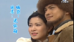 爱你痛到不知痛