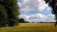 Summer
