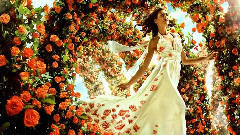 Les Fleurs Sauvages