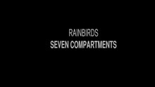 Rainbirds - Seven Compartments