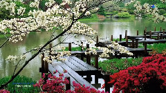 Jardin De Cristal
