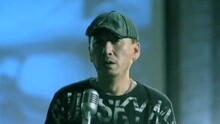 贝尔加湖的鸟