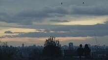 Lovebirds - Want You In My Soul