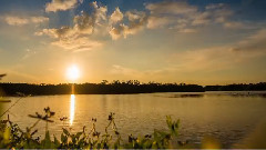 J.N Ding Darling National Wildlife Refuge