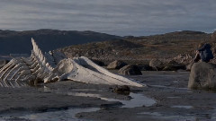 Leviathan 2014 SoundTrack Akhnaten Philip Glass