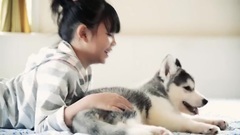 一封给汪星人的情书