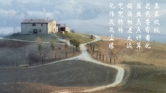 石头记