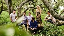 BRANCHES - Shel Bee
