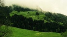 Oesch's die Dritten - Wurzeln und Flügel