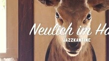 Jazzkantine - Im Frühtau zu Berge