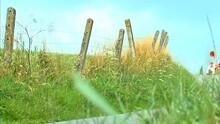 Urbanus - Plankgas En Plastronneke