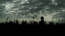 L'Etranger