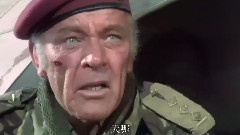 Flight Of The Wild Geese